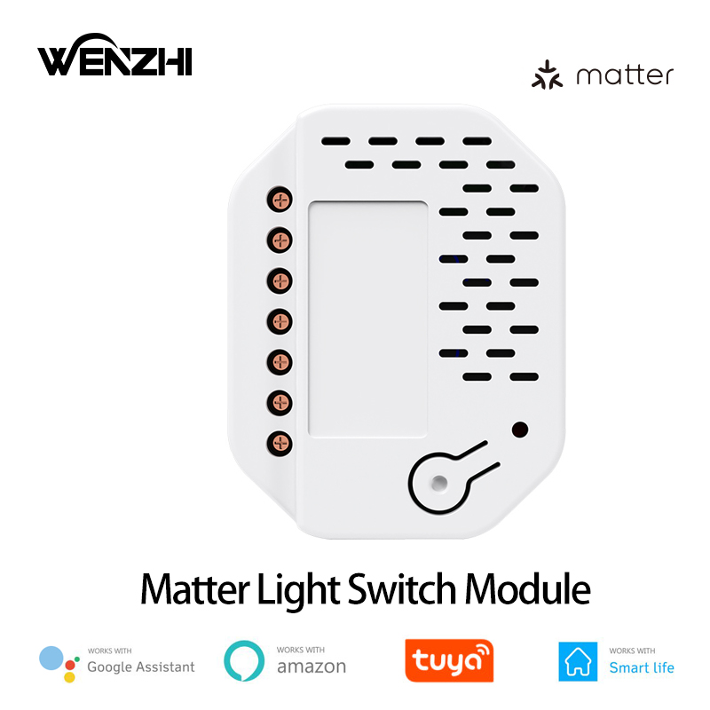Smart Relay Tuya - Matter Light Switch Module 2Gang Relay